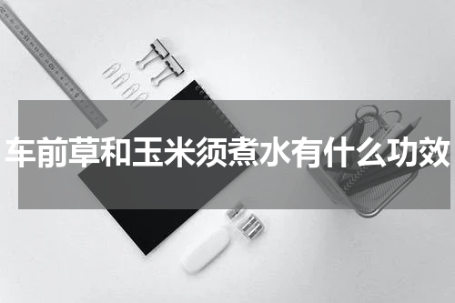 车前草和玉米须煮水有什么功效