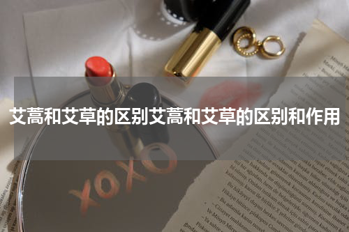 艾蒿和艾草的区别艾蒿和艾草的区别和作用