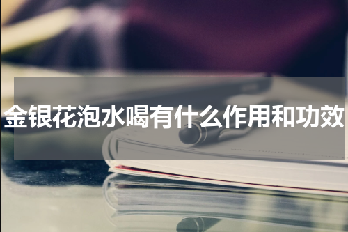 金银花泡水喝有什么作用和功效