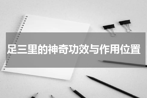 足三里的神奇功效与作用位置
