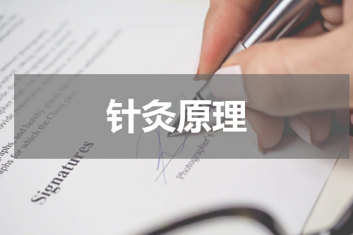 针灸原理
