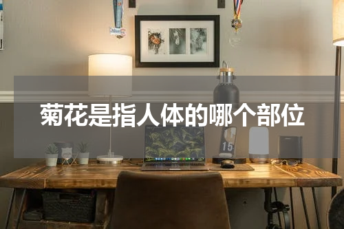 菊花是指人体的哪个部位