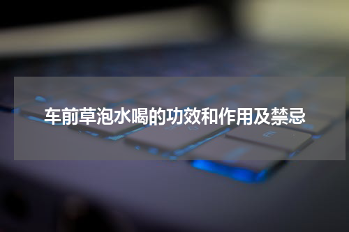 车前草泡水喝的功效和作用及禁忌