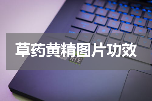 草药黄精图片功效