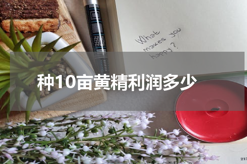 种10亩黄精利润多少