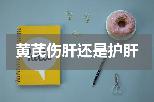 黄芪伤肝还是护肝