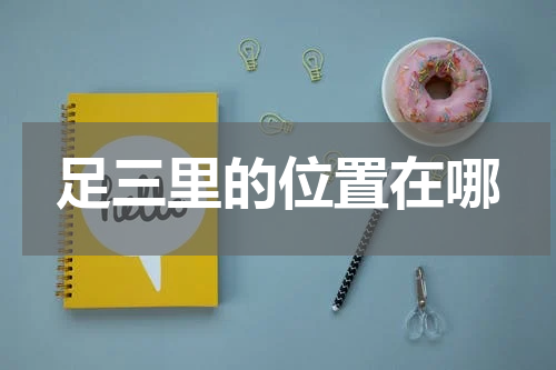 足三里的位置在哪