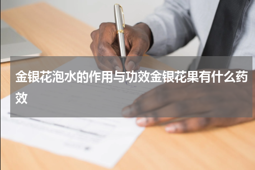 金银花泡水的作用与功效金银花果有什么药效