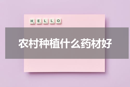 农村种植什么药材好