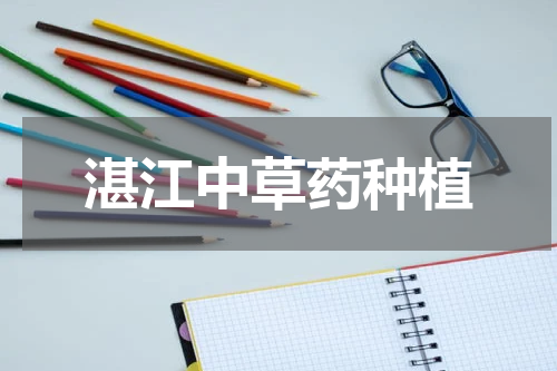 湛江中草药种植