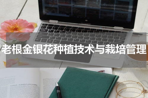 老根金银花种植技术与栽培管理