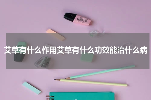 艾草有什么作用艾草有什么功效能治什么病