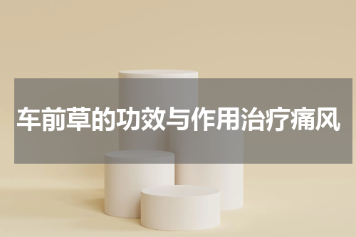 车前草的功效与作用治疗痛风