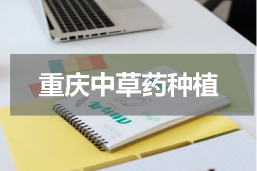 重庆中草药种植