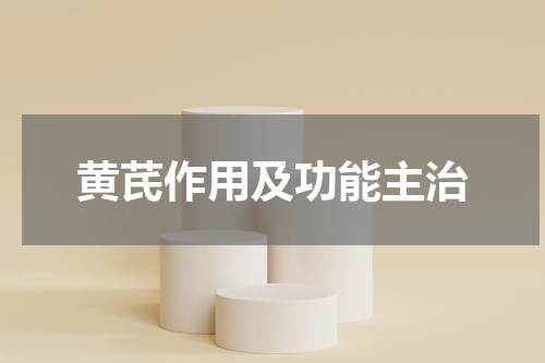 黄芪作用及功能主治