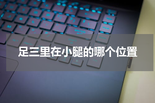 足三里在小腿的哪个位置