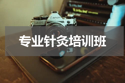 专业针灸培训班