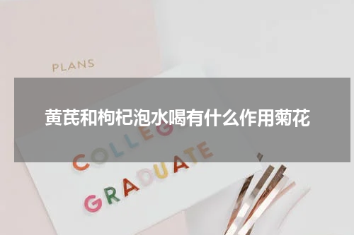 黄芪和枸杞泡水喝有什么作用菊花