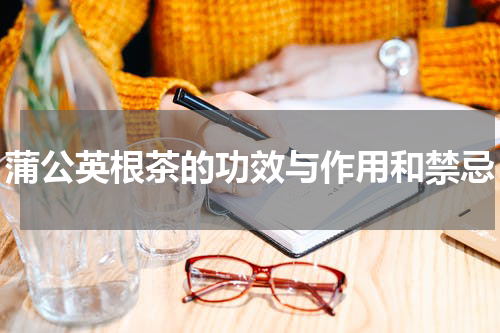 蒲公英根茶的功效与作用和禁忌