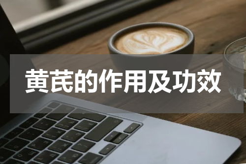 黄芪的作用及功效