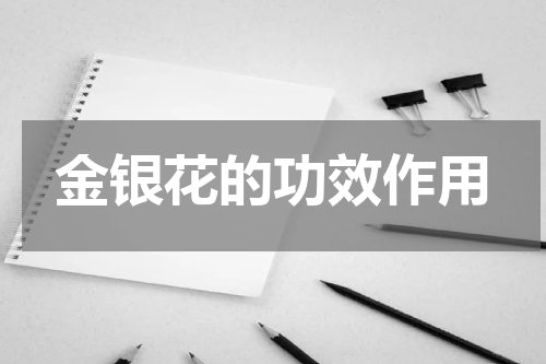 金银花的功效作用