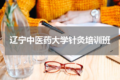 辽宁中医药大学针灸培训班