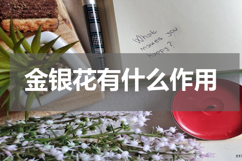 金银花有什么作用