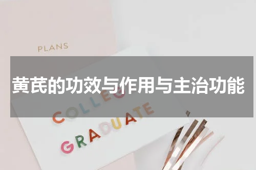 黄芪的功效与作用与主治功能