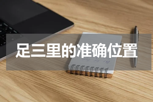 足三里的准确位置
