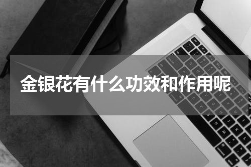 金银花有什么功效和作用呢