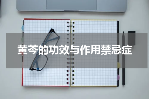黄芩的功效与作用禁忌症