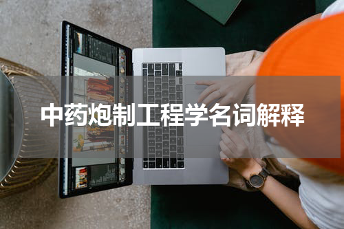 中药炮制工程学名词解释