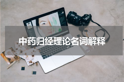中药归经理论名词解释