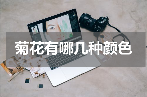 菊花有哪几种颜色