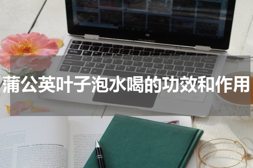 蒲公英叶子泡水喝的功效和作用