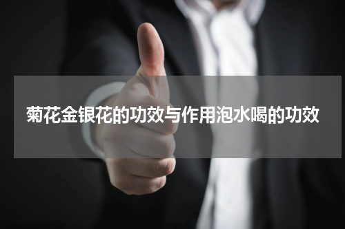 菊花金银花的功效与作用泡水喝的功效