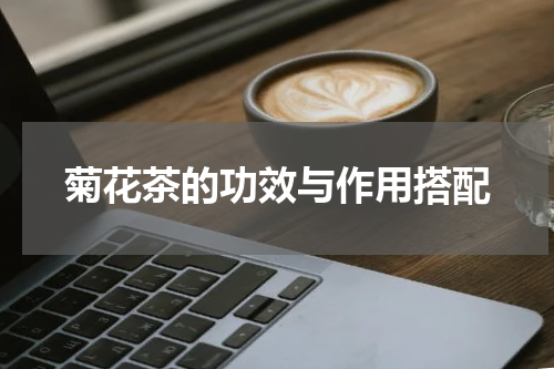 菊花茶的功效与作用搭配