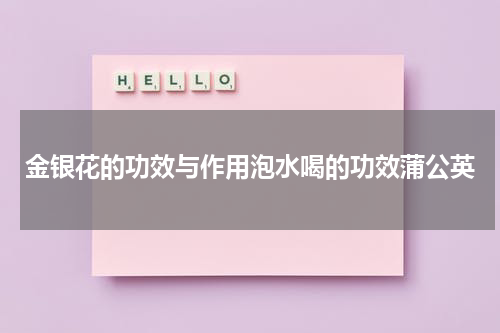 金银花的功效与作用泡水喝的功效蒲公英