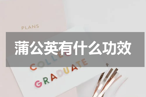 蒲公英有什么功效