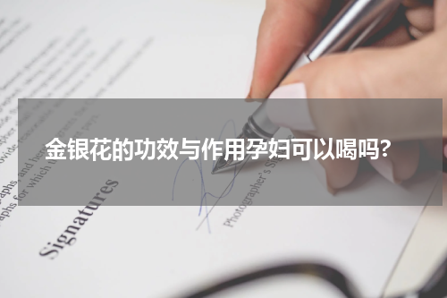 金银花的功效与作用孕妇可以喝吗?