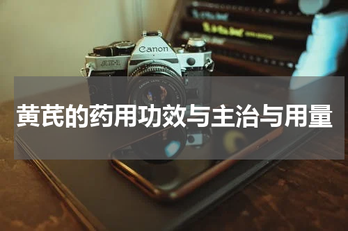 黄芪的药用功效与主治与用量