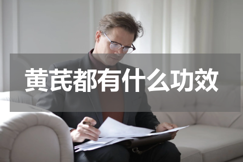 黄芪都有什么功效