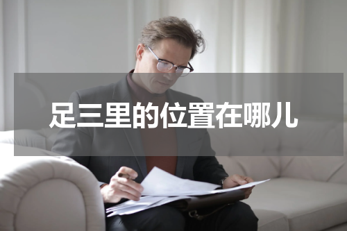足三里的位置在哪儿
