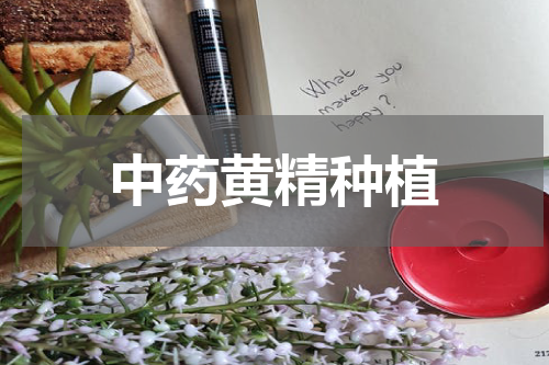中药黄精种植