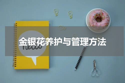 金银花养护与管理方法