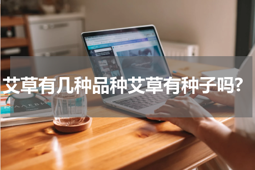 艾草有几种品种艾草有种子吗?
