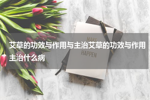 艾草的功效与作用与主治艾草的功效与作用主治什么病