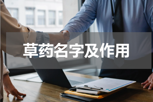 草药名字及作用
