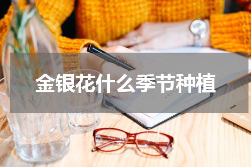 金银花什么季节种植