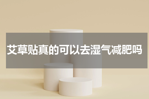 艾草贴真的可以去湿气减肥吗